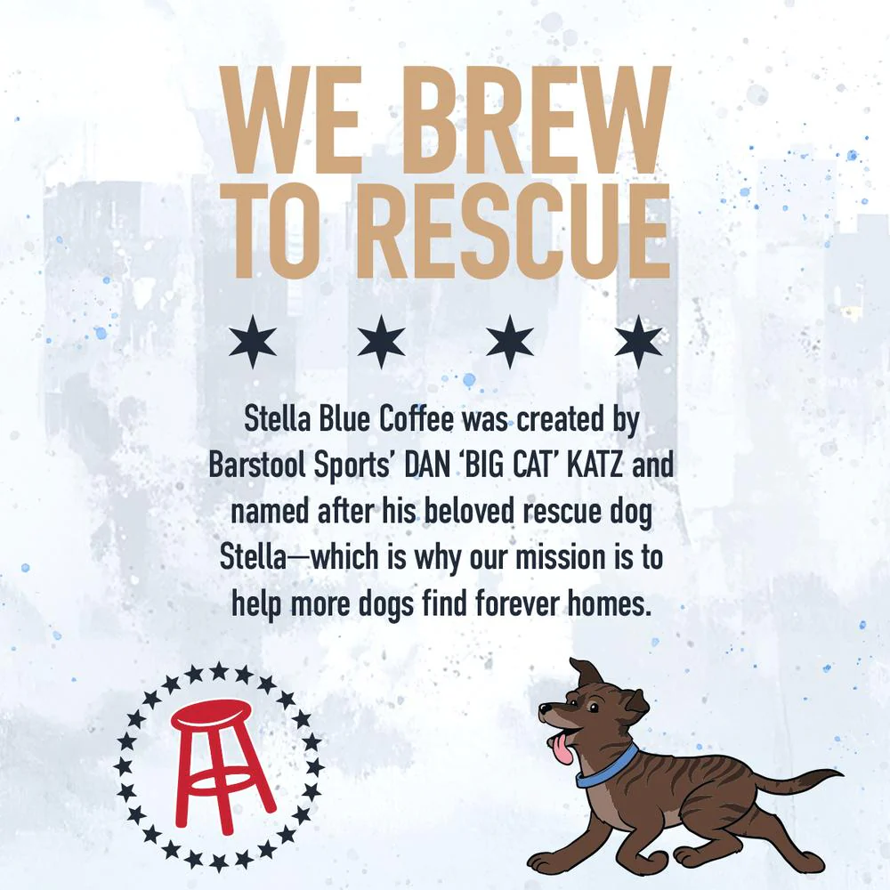 Caffe Mocha Canned Latte - Image 4